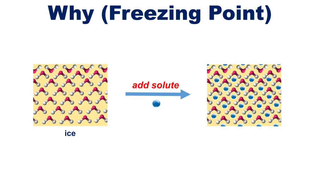 Chp. 7 Chemical Solutions 50