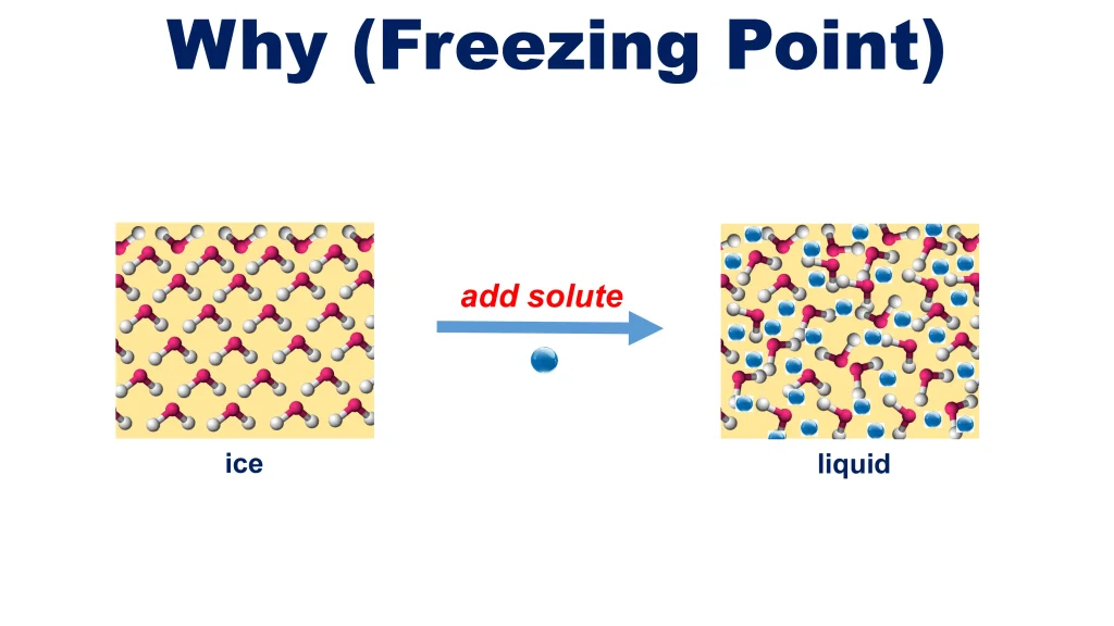 Chp. 7 Chemical Solutions 51