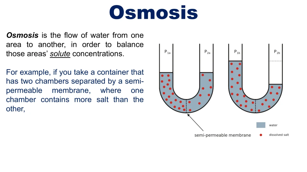 Chp. 7 Chemical Solutions 73