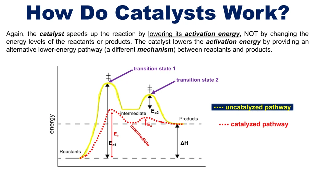 Chp. 8 Chemical Kinetics 50