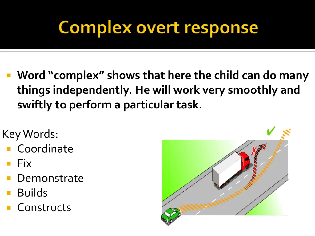 Psychomotor domain 12