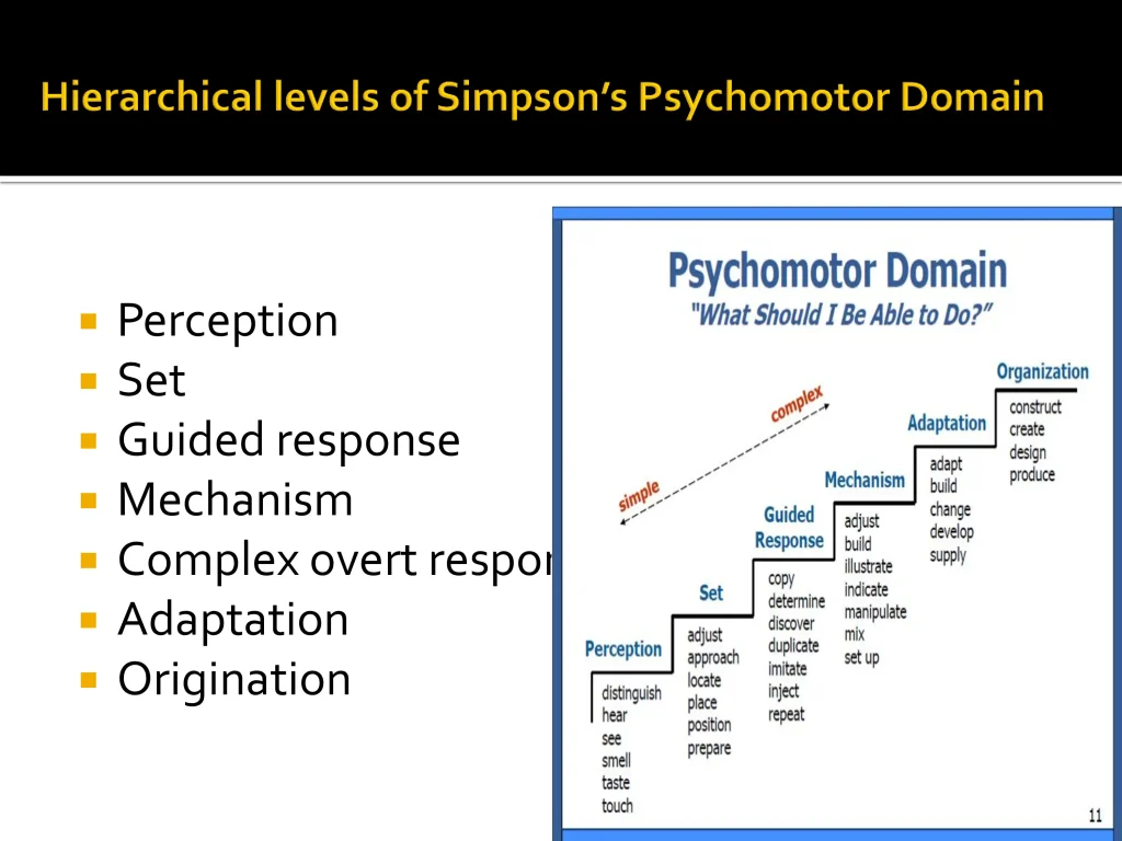 Psychomotor domain 3