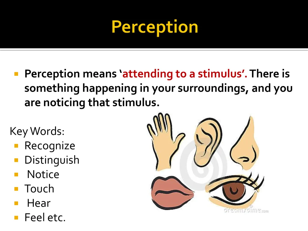 Psychomotor domain 4
