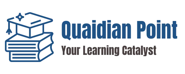 Quaidian Point 2